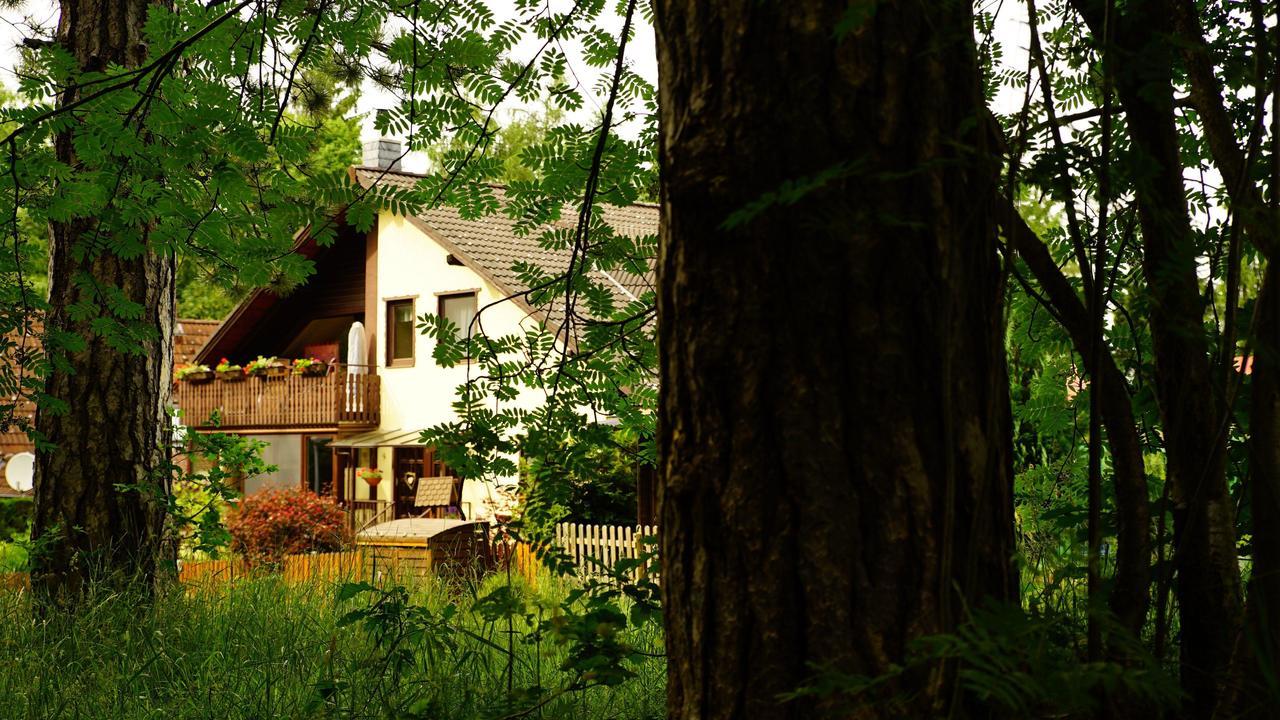 Ferienwohnung Im Wald Mit Kamin Bad Harzburg Kültér fotó