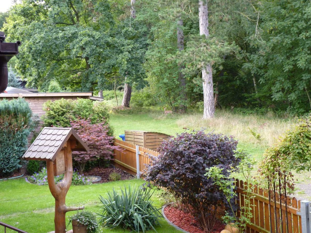 Ferienwohnung Im Wald Mit Kamin Bad Harzburg Kültér fotó